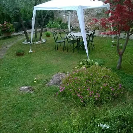 Hortus Olivarum