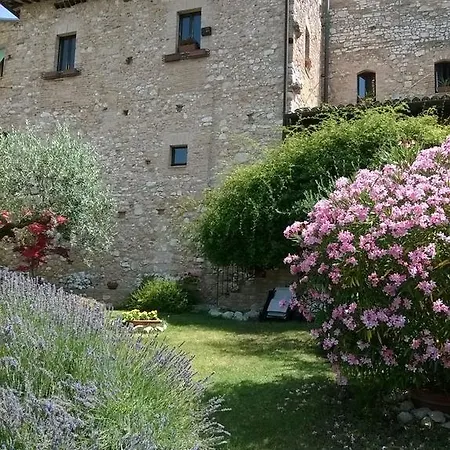 Hortus Olivarum