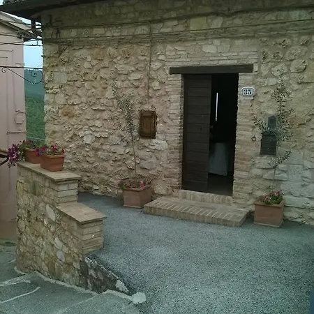 Hortus Olivarum
