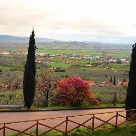 Bed & Breakfast Hortus Olivarum *